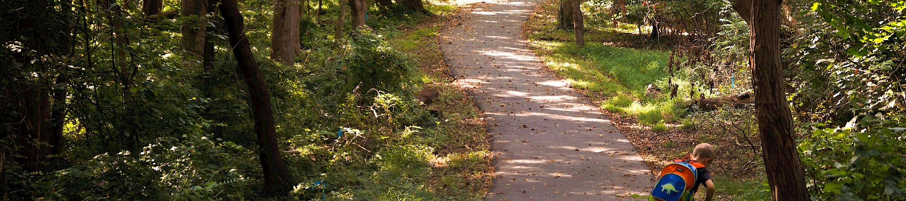 A child with a backpack is climbing over a small wooden fence on a shaded, winding forest path during daytime.