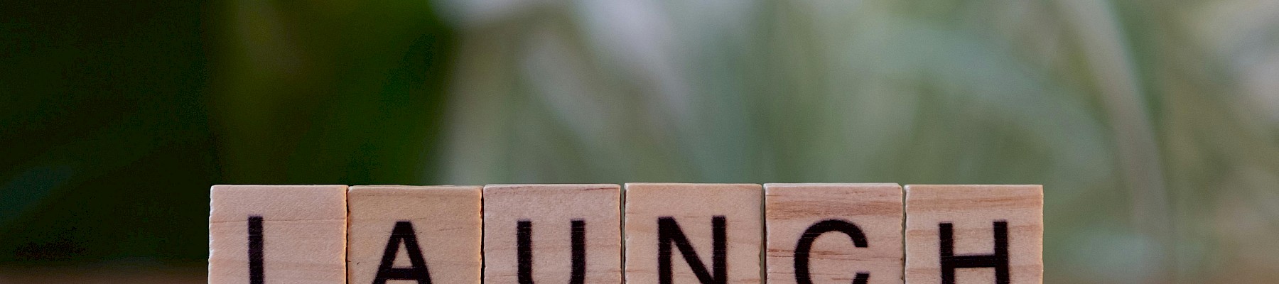 Wooden blocks spell out