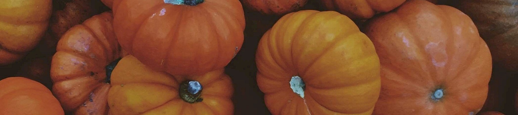 Pile of small orange pumpkins with various shapes, some with rough patches and greenish stems.