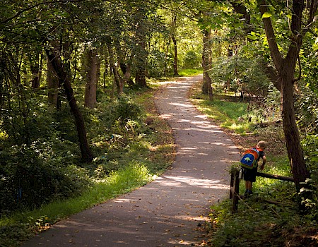 A child with a backpack is climbing over a small wooden fence on a shaded, winding forest path during daytime.