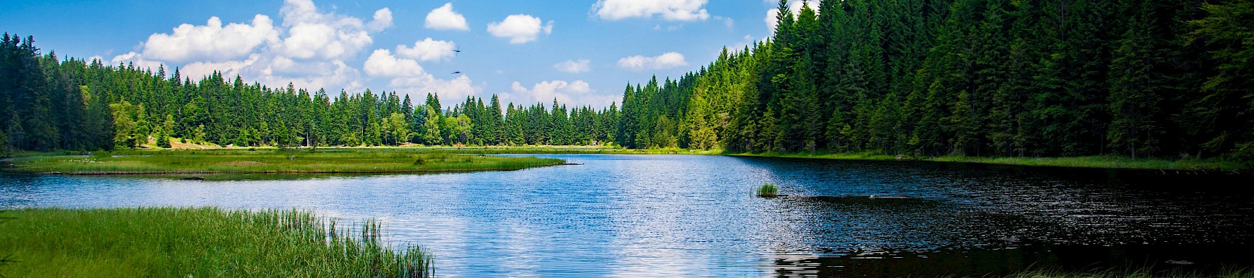 A serene lake surrounded by lush green trees under a partly cloudy blue sky.