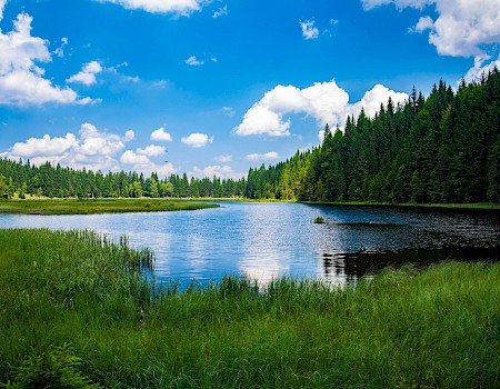 A serene lake surrounded by lush green trees under a partly cloudy blue sky.