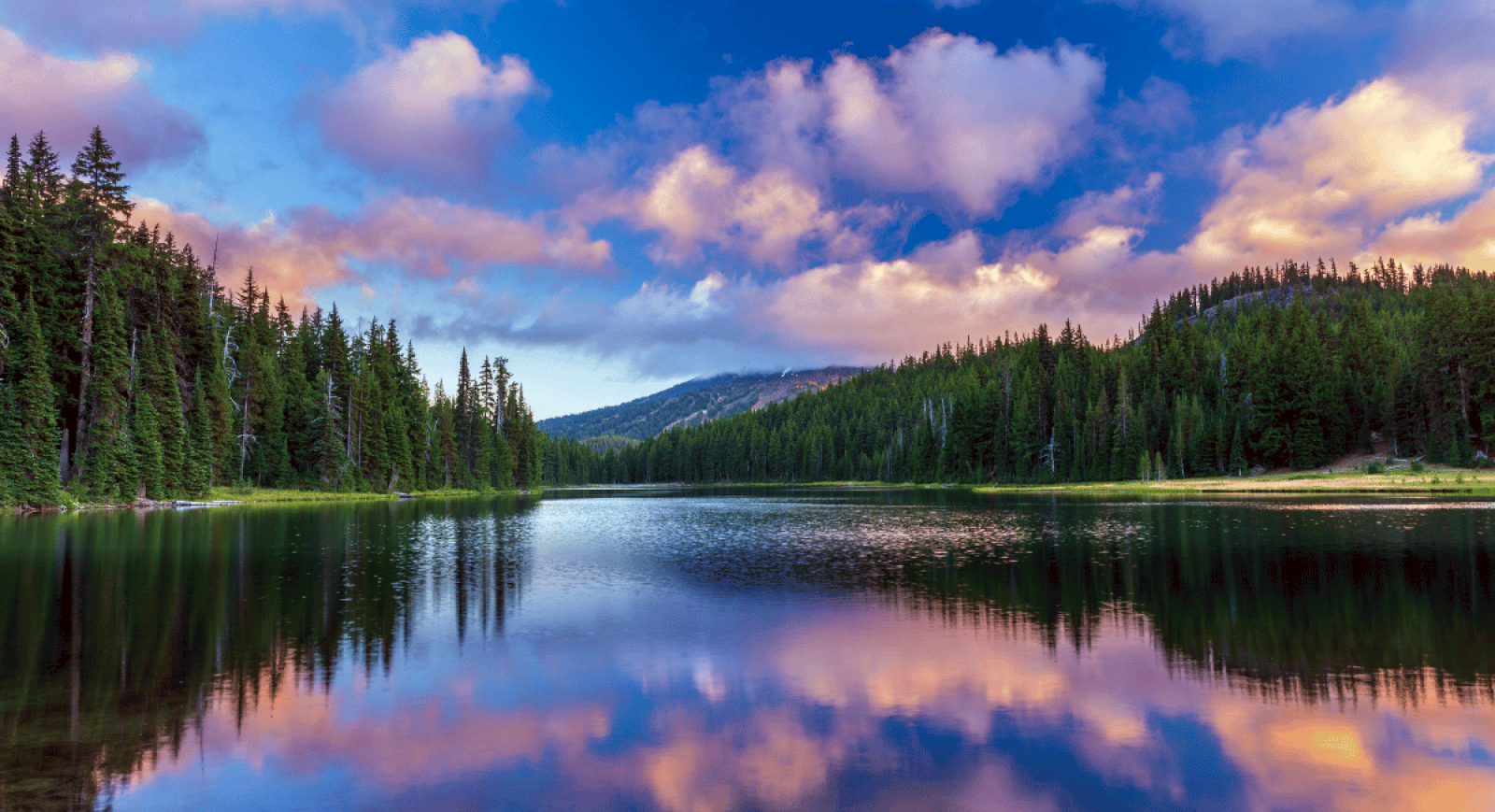 A serene lake surrounded by dense green trees, with a colorful sky and clouds reflecting on the water's surface.