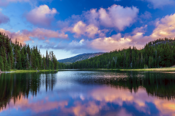 A peaceful lake surrounded by dense pine forests under a colorful, cloudy sky during sunset.