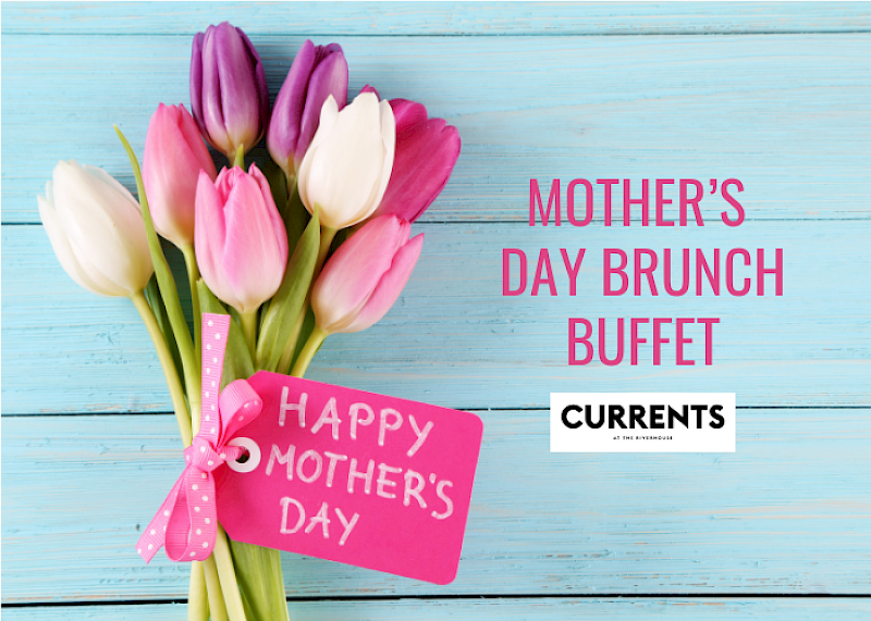 A bouquet of colorful tulips with a 