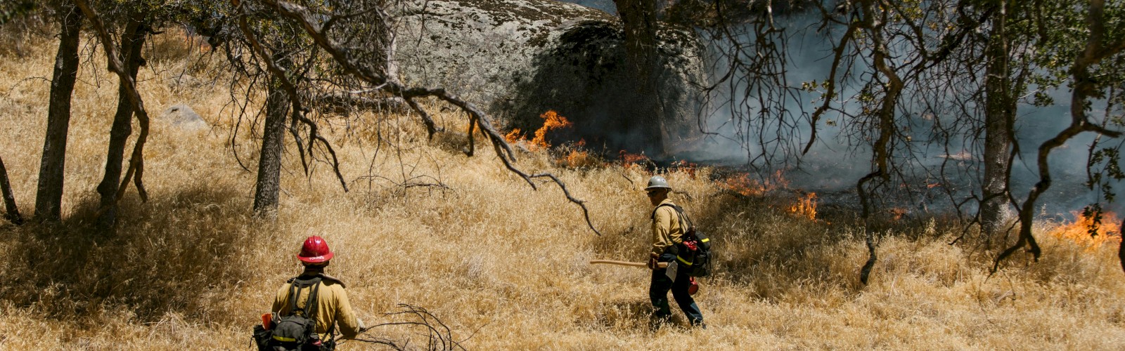 Firefighters are fighting a wildfire in a grassy field with trees, under a smoky sky.