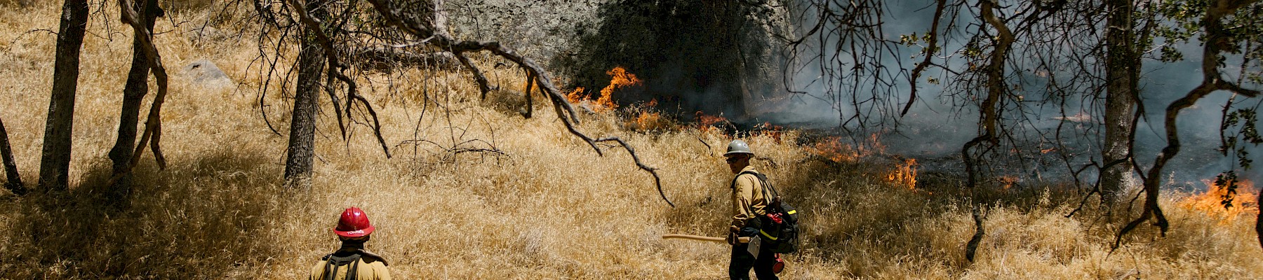 Two firefighters are battling a wildfire in a grassy, wooded area.