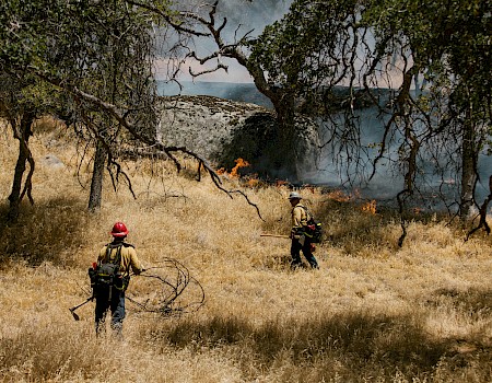 Two firefighters are battling a wildfire in a grassy, wooded area.