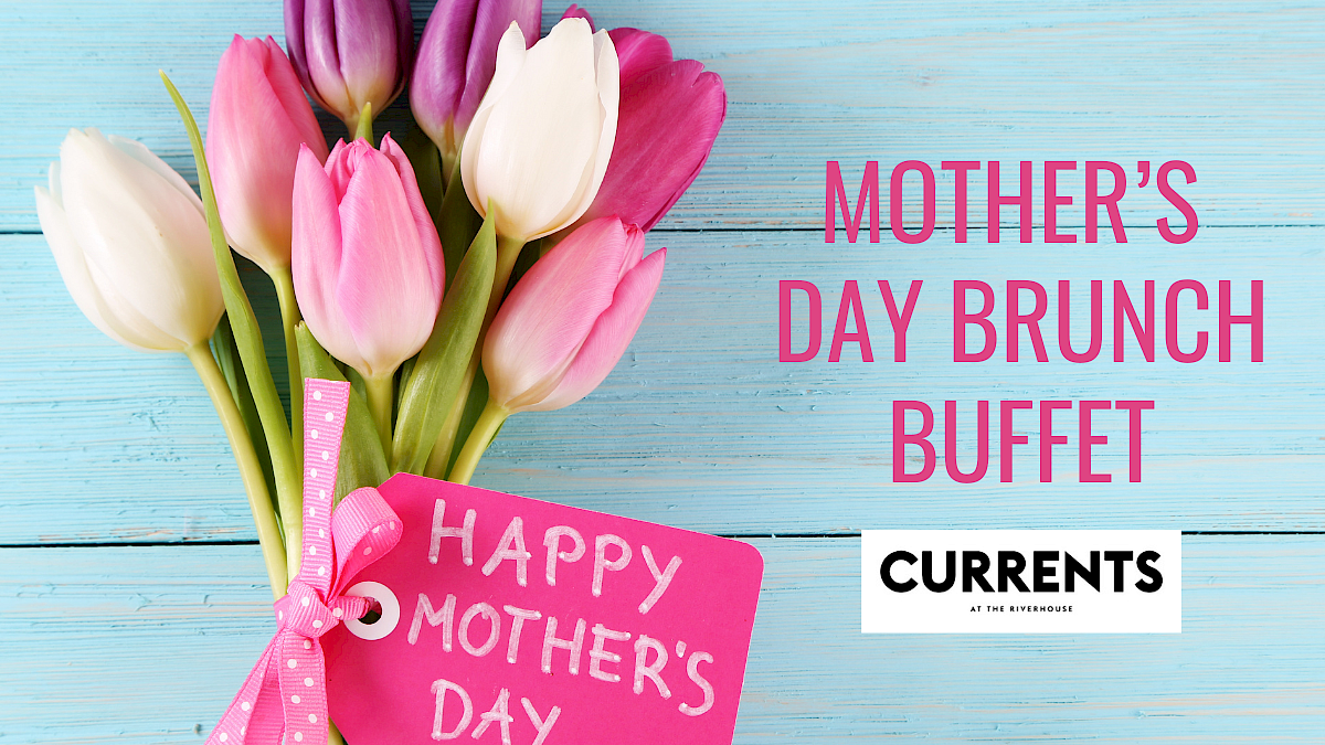 A bouquet of pink and white tulips with a 