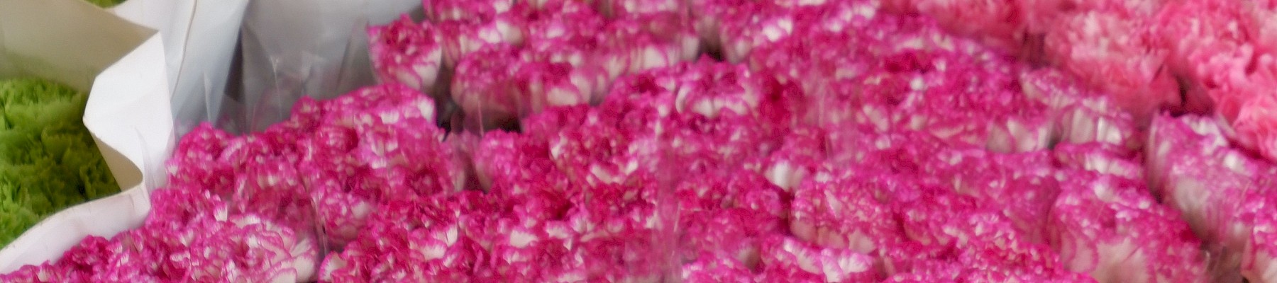 A colorful display of assorted carnations arranged in paper sleeves, with pink, green, orange, and red blooms.