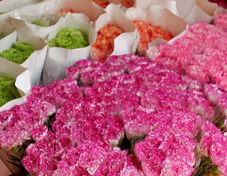 A colorful display of assorted carnations arranged in paper sleeves, with pink, green, orange, and red blooms.