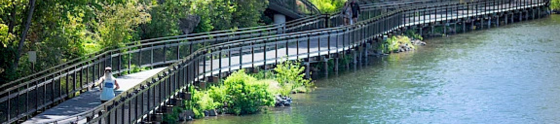 A wooden walkway runs along a green lakeshore with trees and bushes, with people walking and enjoying a scenic outdoor day.