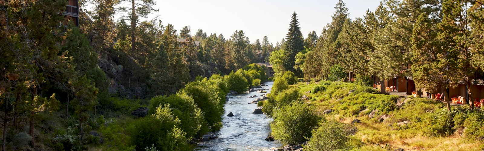 A scenic river bordered by lush trees and houses on the right, with a clear sky overhead in a peaceful nature setting.