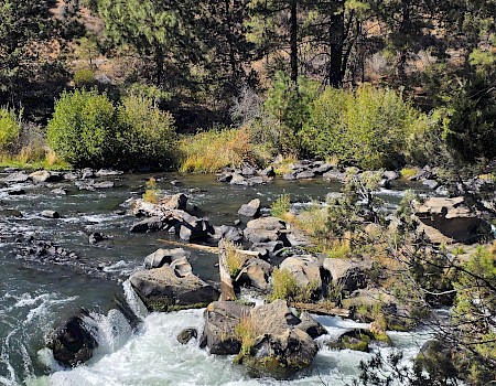 A rushing river flows through a forested area with rocks, trees, and lush greenery casting shadows in a natural landscape.