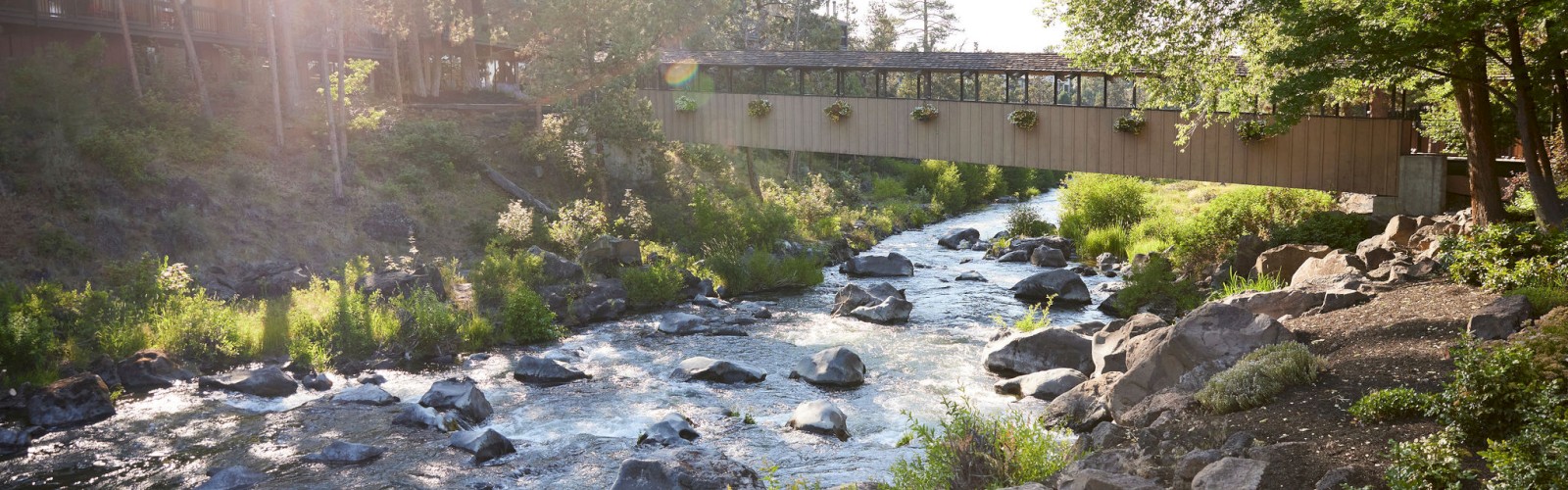 A sunlit scene with a rocky river flowing under a wooden bridge surrounded by trees and greenery.