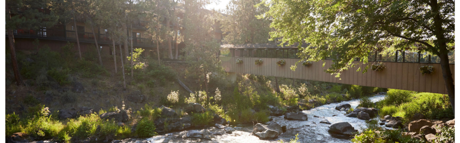 A serene river flows under a wooden bridge, surrounded by lush greenery and rocks, with sunlight filtering through the trees.