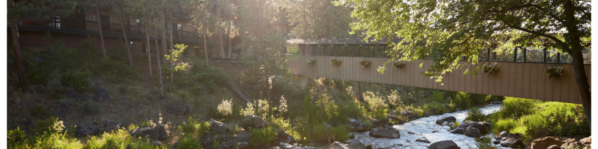 A serene river flows under a wooden bridge, surrounded by lush greenery and rocks, with sunlight filtering through the trees.