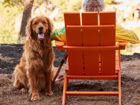 A person sits in an orange chair outdoors with a dog beside them, facing a house surrounded by trees.