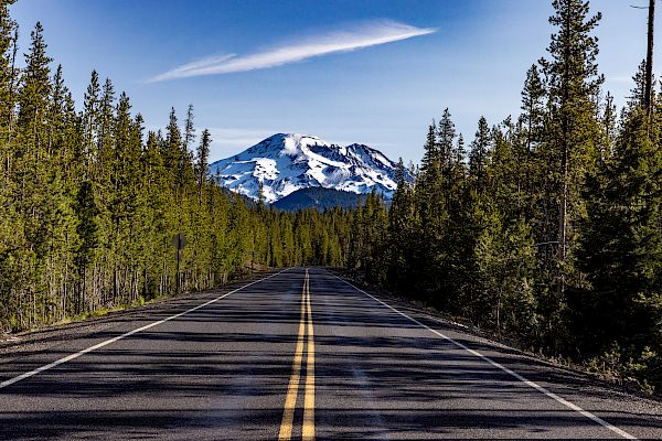 A straight road lined with tall trees leads towards a distant snow-capped mountain under a clear blue sky with a streak of cloud.