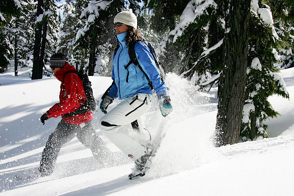 Two people are snowshoeing through a snowy forest, one wearing red and the other in blue and white gear, under a clear sky.