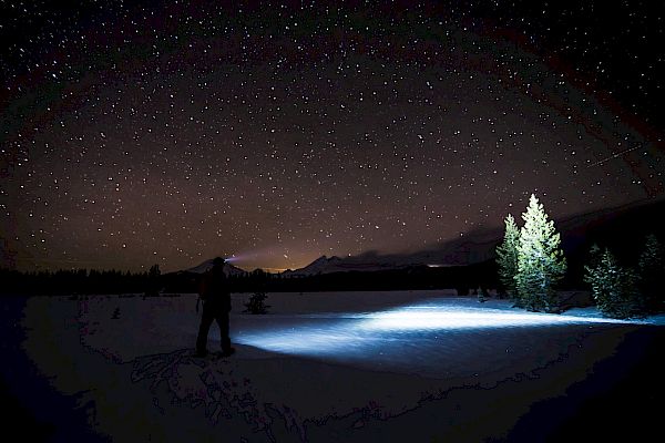 A person stands in a snowy landscape at night, illuminated by a flashlight, with a sky full of stars above them, and a tree glowing in the light.