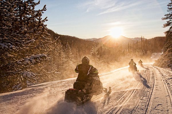 Three snowmobilers riding on a snowy trail during a sunset through a pine forest; snow dust rising behind them creating a scenic winter scene.