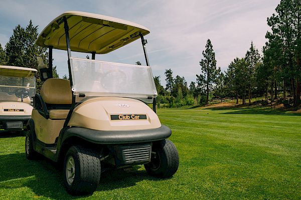 Two beige golf carts are parked on a golf course with green grass and trees in the background under a partly cloudy sky.