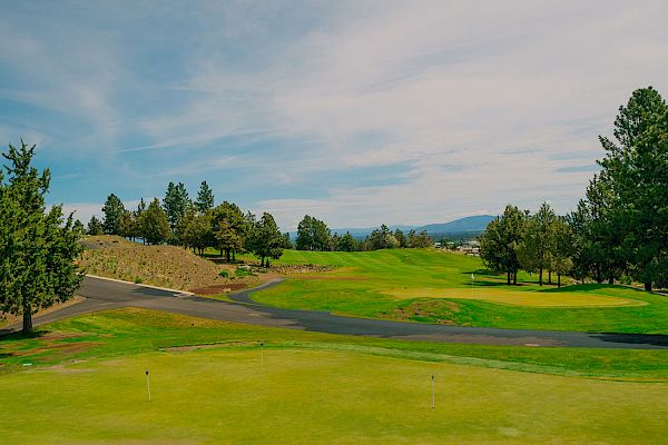 A scenic view of a golf course with lush green fairways, scattered trees, and a clear blue sky overhead, set against a mountainous backdrop.