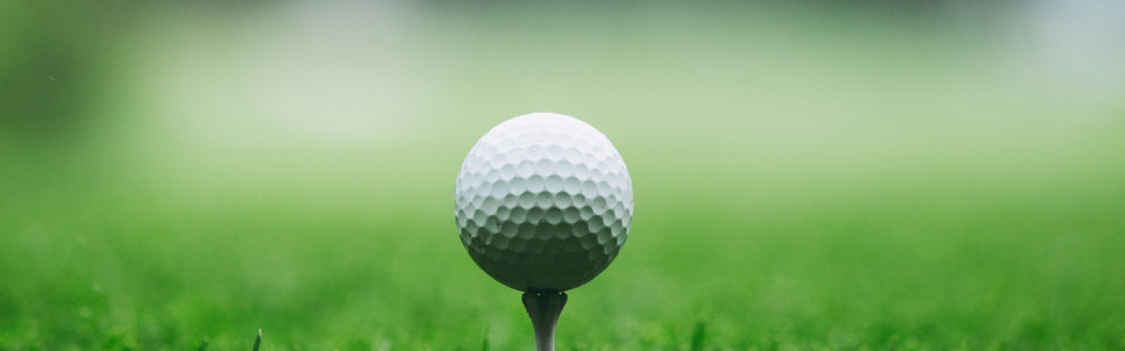 Close-up of a golf ball teed up on lush grass at River’s Edge Golf Course, where Riverhouse Lodge guests receive 20% off greens fees.