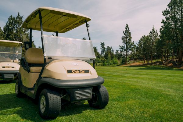 Two beige golf carts are parked on a lush green golf course surrounded by trees under a partly cloudy sky.