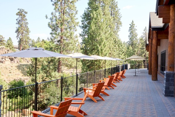 A spacious outdoor patio with wooden chairs under umbrellas, overlooking a scenic view of tall trees and a natural landscape.