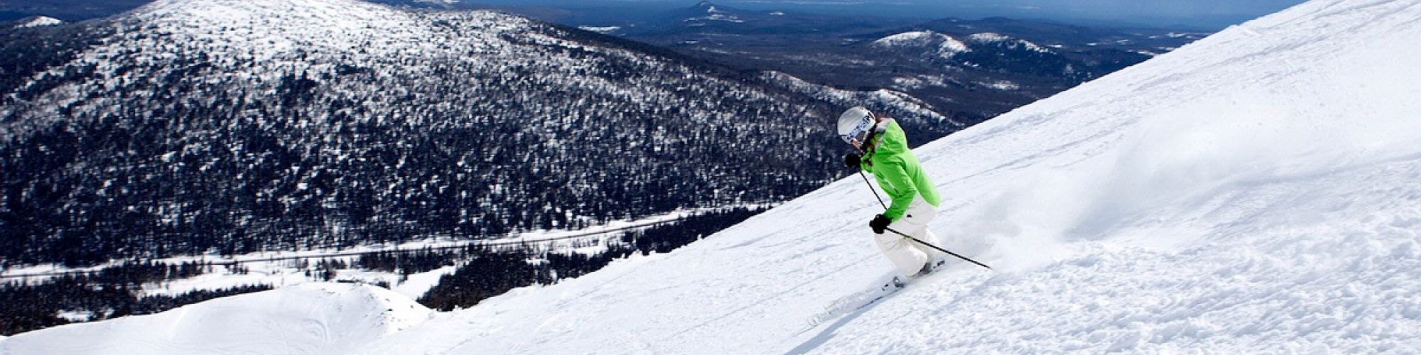 A skier in a bright green jacket descends a snowy slope with mountainous terrain and distant forests in the background.