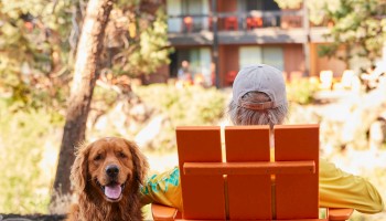 A person sitting in an orange chair with a golden retriever beside them, in a park-like setting with a house visible in the background.