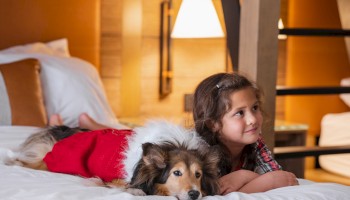 A girl and a dog in a red coat are relaxing on a bed in a cozy room with warm lighting and a modern decor.