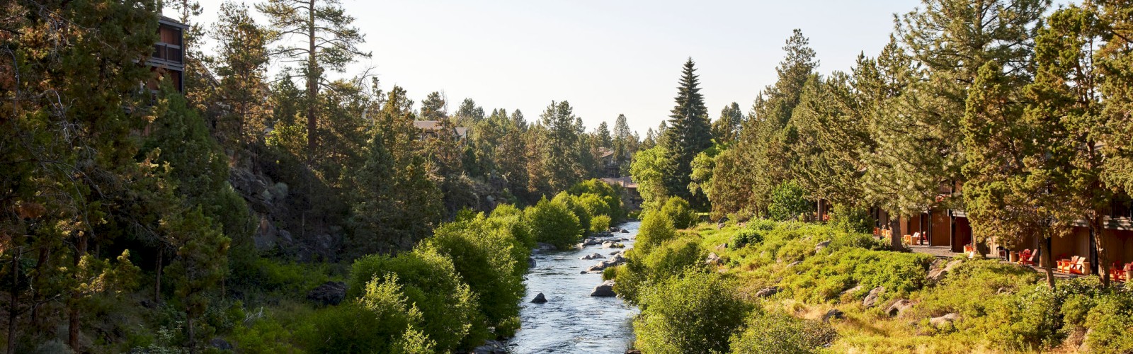 A serene river flows through a lush, tree-filled landscape with cabins visible among the trees, bathed in sunlight.