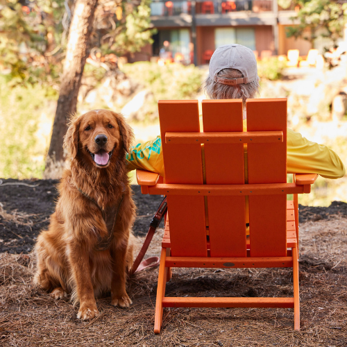 A person sitting on an orange chair outdoors with a golden retriever beside them, in a natural setting with trees and a building in the background.