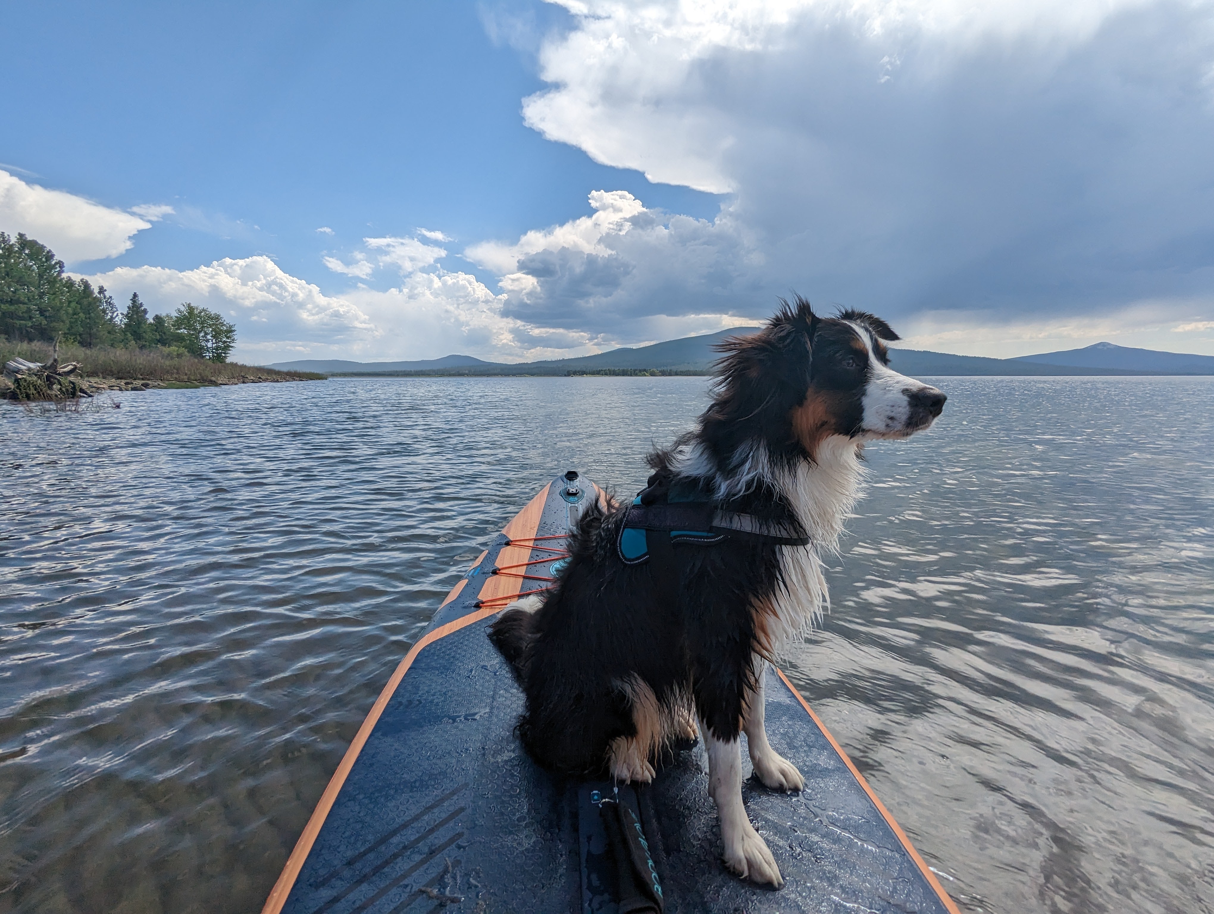 A dog sits on a paddleboard in the middle of a calm lake, with a scenic landscape of mountains and a partly cloudy sky in the background.