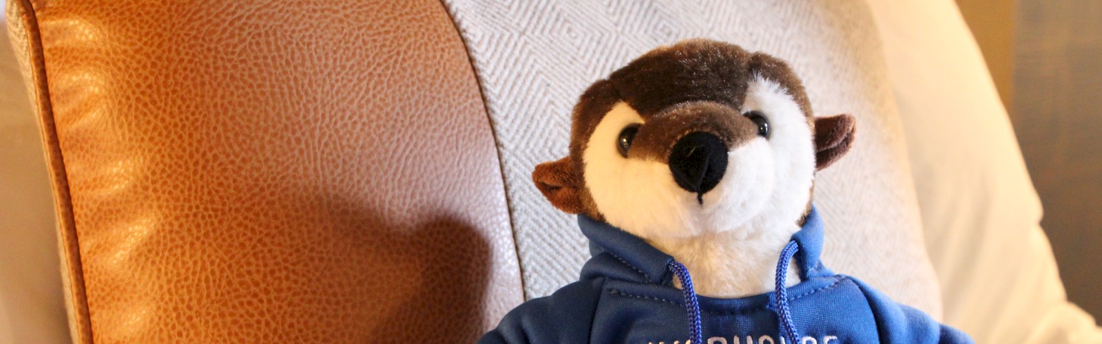 A stuffed toy wearing a blue hoodie with 