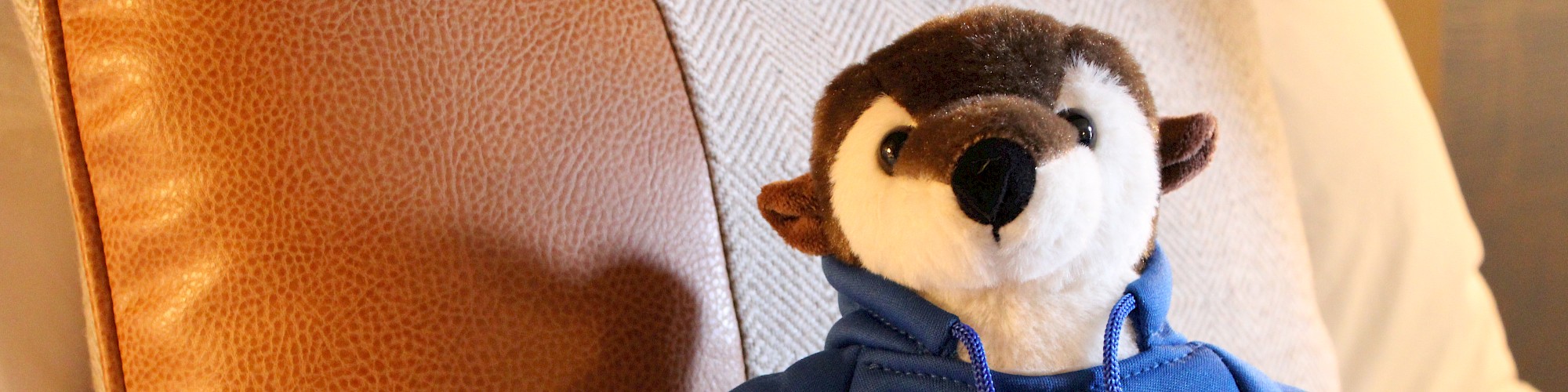 A stuffed toy wearing a blue hoodie with 