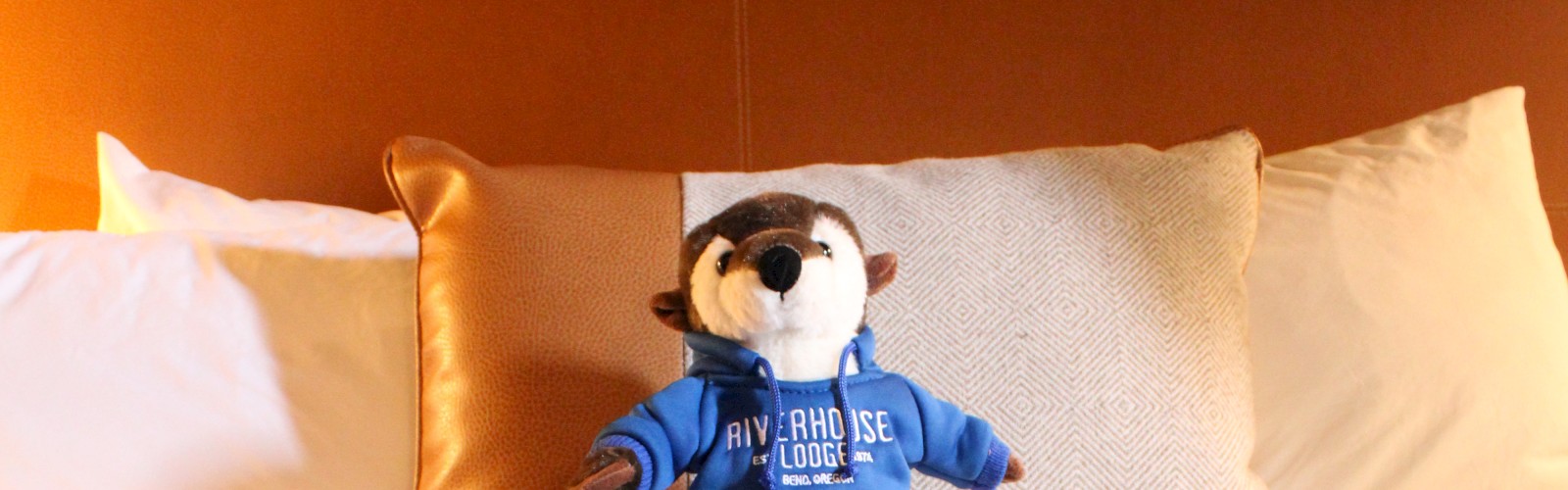 A plush toy wearing a blue hoodie is placed on a neatly made bed with several pillows behind it, focusing on the blue and red bedcover.