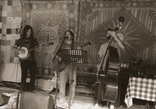 A band performs in a cozy, tapestry-decorated space with instruments including a guitar, banjo, and upright bass while one person sings into a microphone.