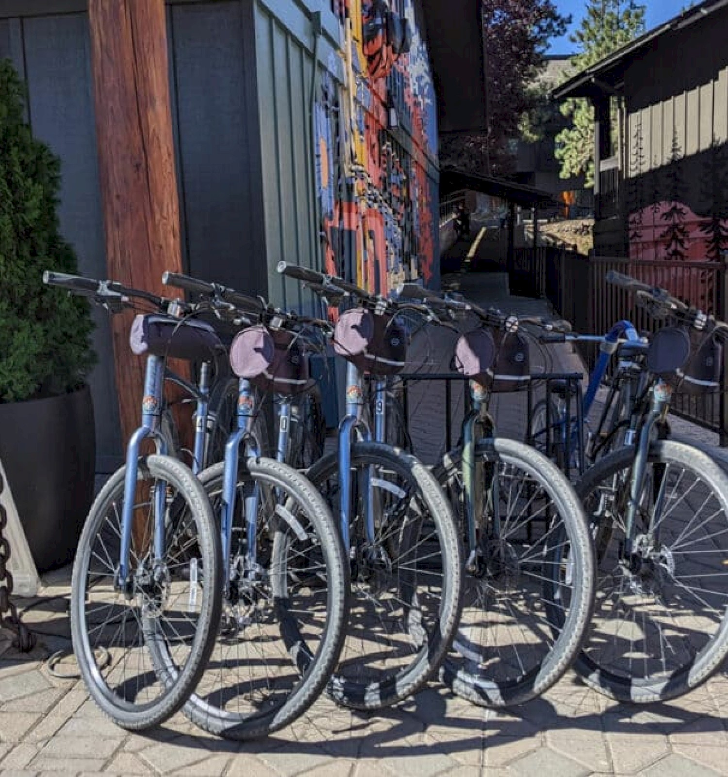 The image shows a row of bicycles parked in front of a building with colorful murals and a nearby sign displaying rental information.