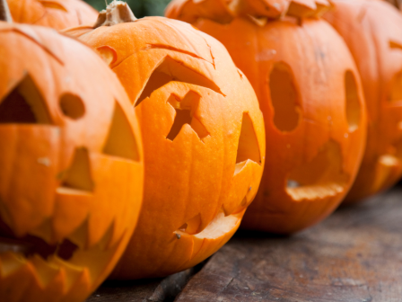 The image shows a row of carved pumpkins sitting on a wooden surface, each featuring a different jack-o'-lantern face.