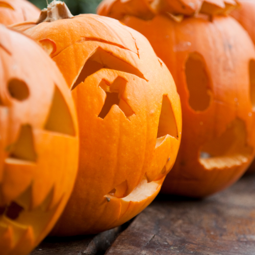 The image shows a row of carved pumpkins with various facial expressions on a wooden surface.