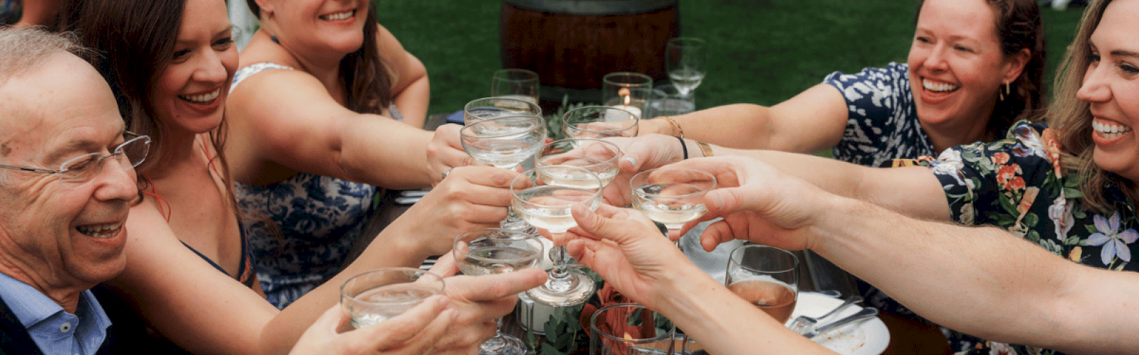 Friends celebrate with a toast at a joyful outdoor gathering, smiling and clinking glasses in a festive moment.