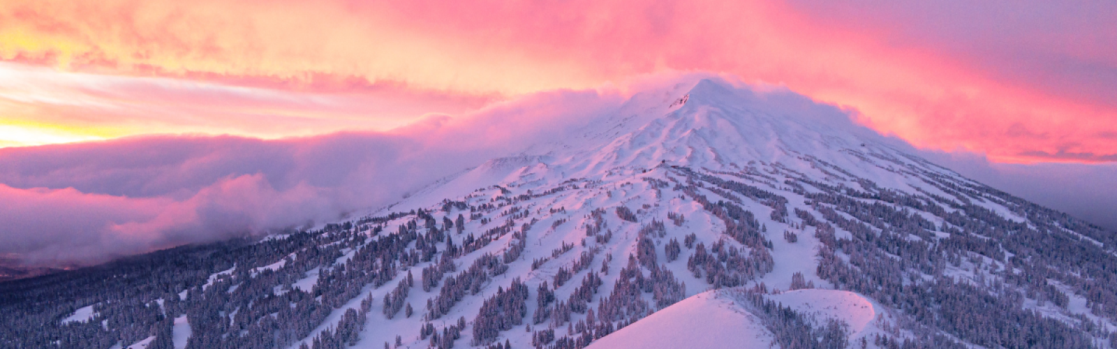 A snow-covered mountain bathed in a vibrant pink sunset, with ski trails and trees visible on its slopes.