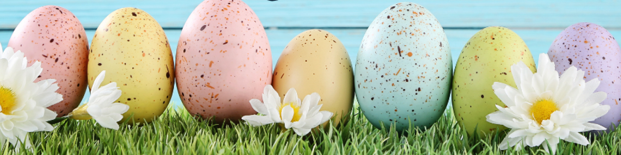 Colorful Easter eggs on grass, adorned with flowers, against a blue wooden background. 