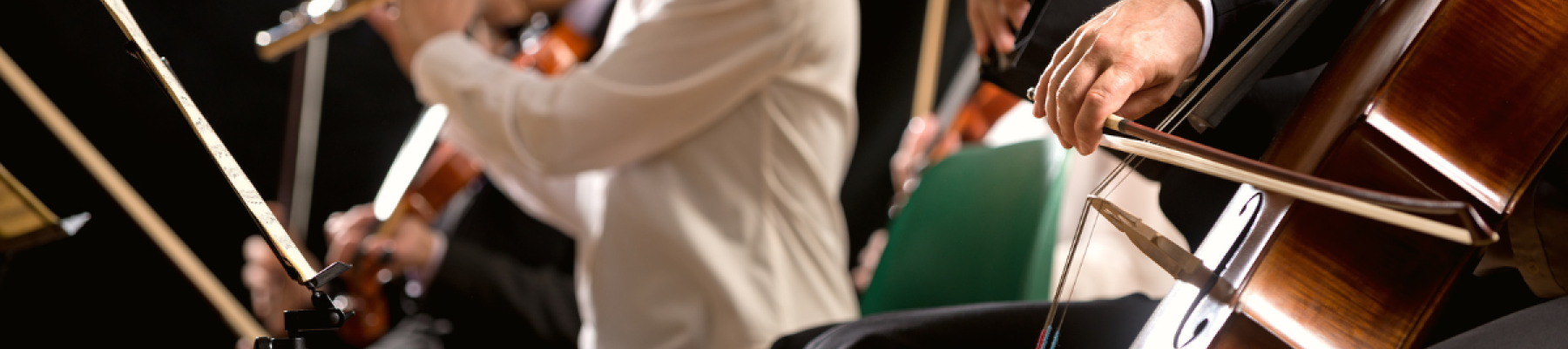 A group of musicians performing with string instruments and a flute during a concert, focused on their music as they play together.