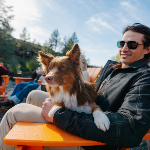 A person in sunglasses is sitting on an orange chair, holding a brown and white dog outdoors with trees and blue sky in the background.