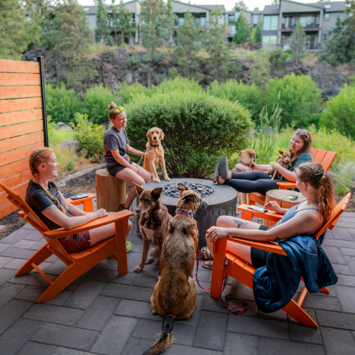 A group of people and dogs relax on orange chairs around a fire pit in a patio setting, surrounded by greenery and wooden fencing.